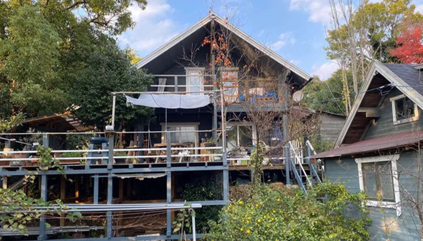 オズキャットの飼育環境(屋外)