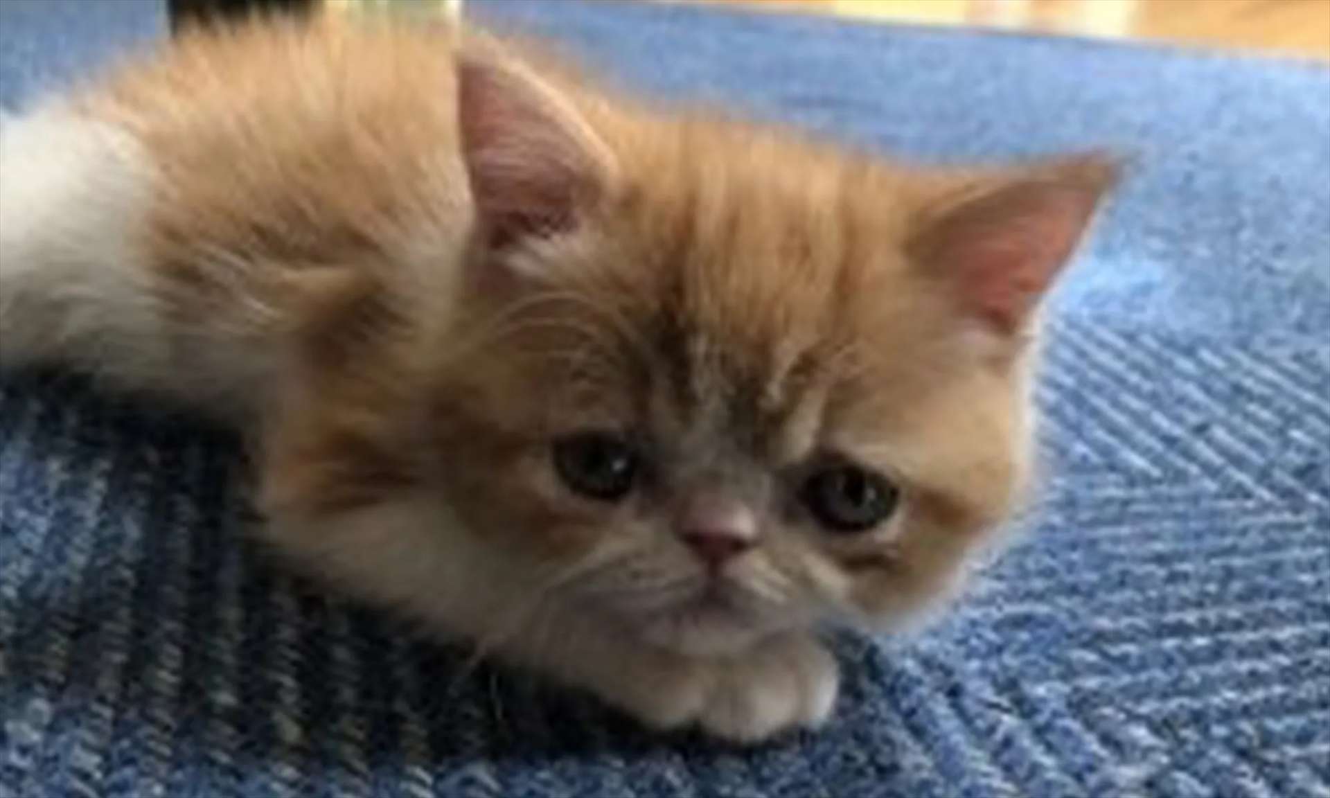 これからも頼らせてください