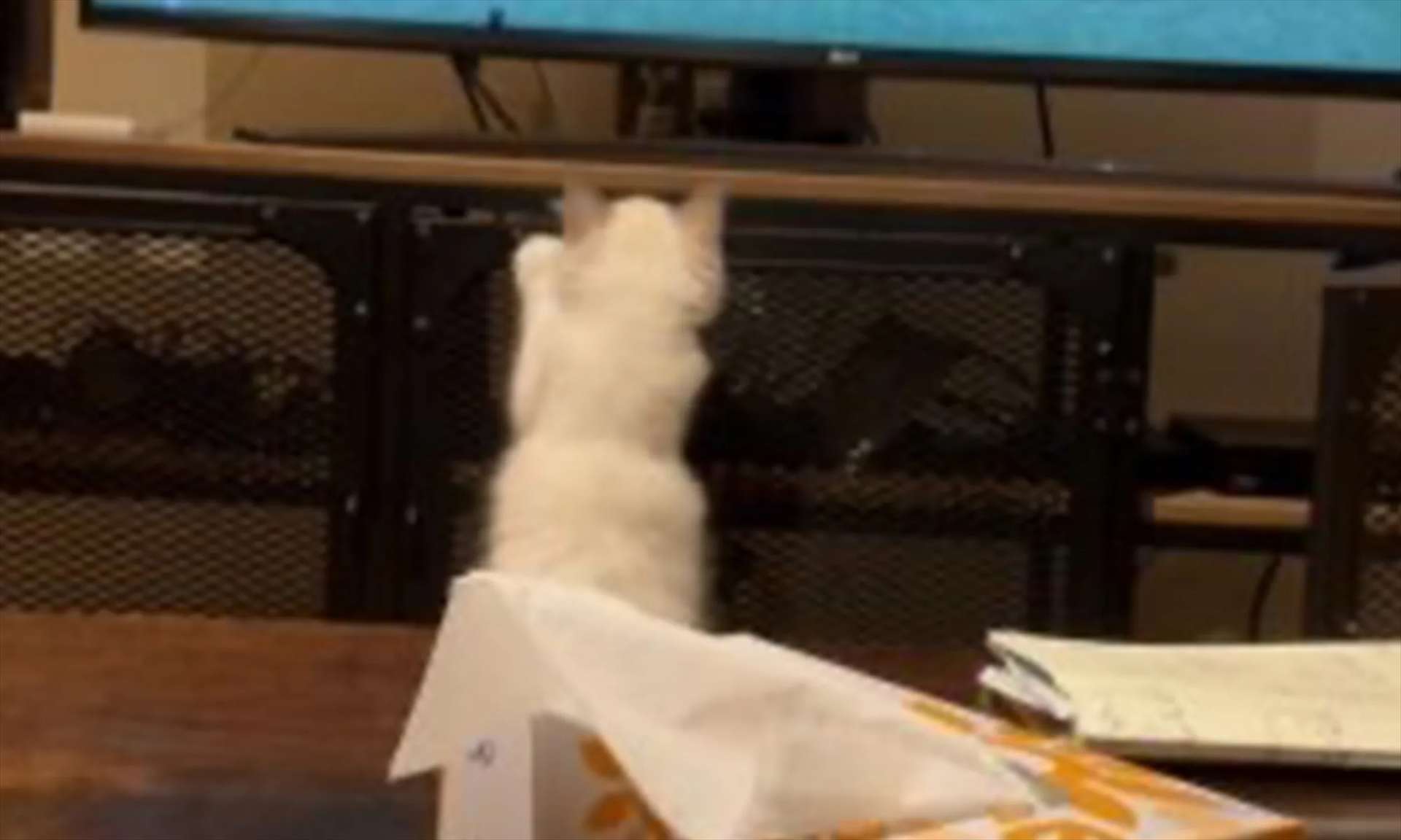 よい環境で育てられたのだなと感じました