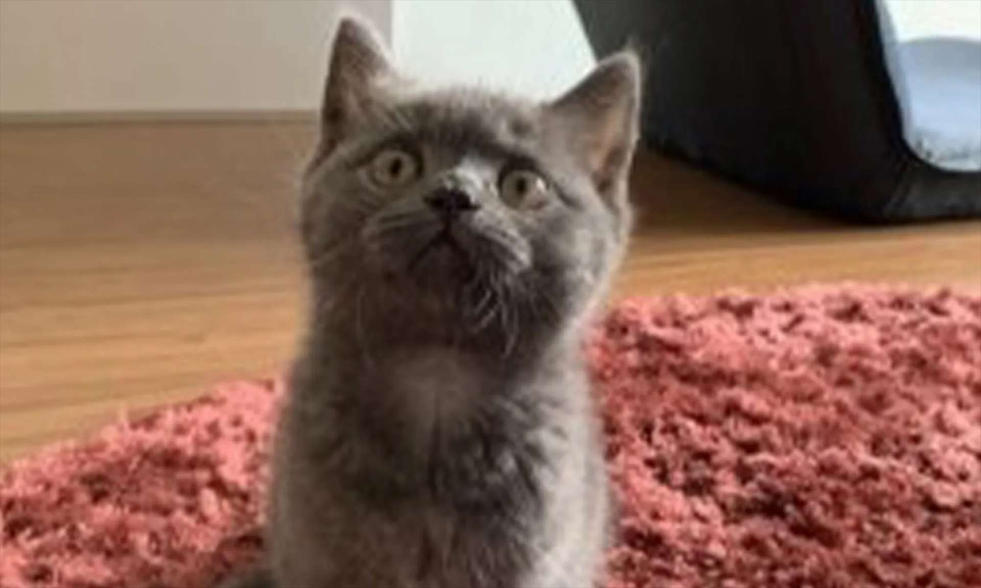 一目惚れでした